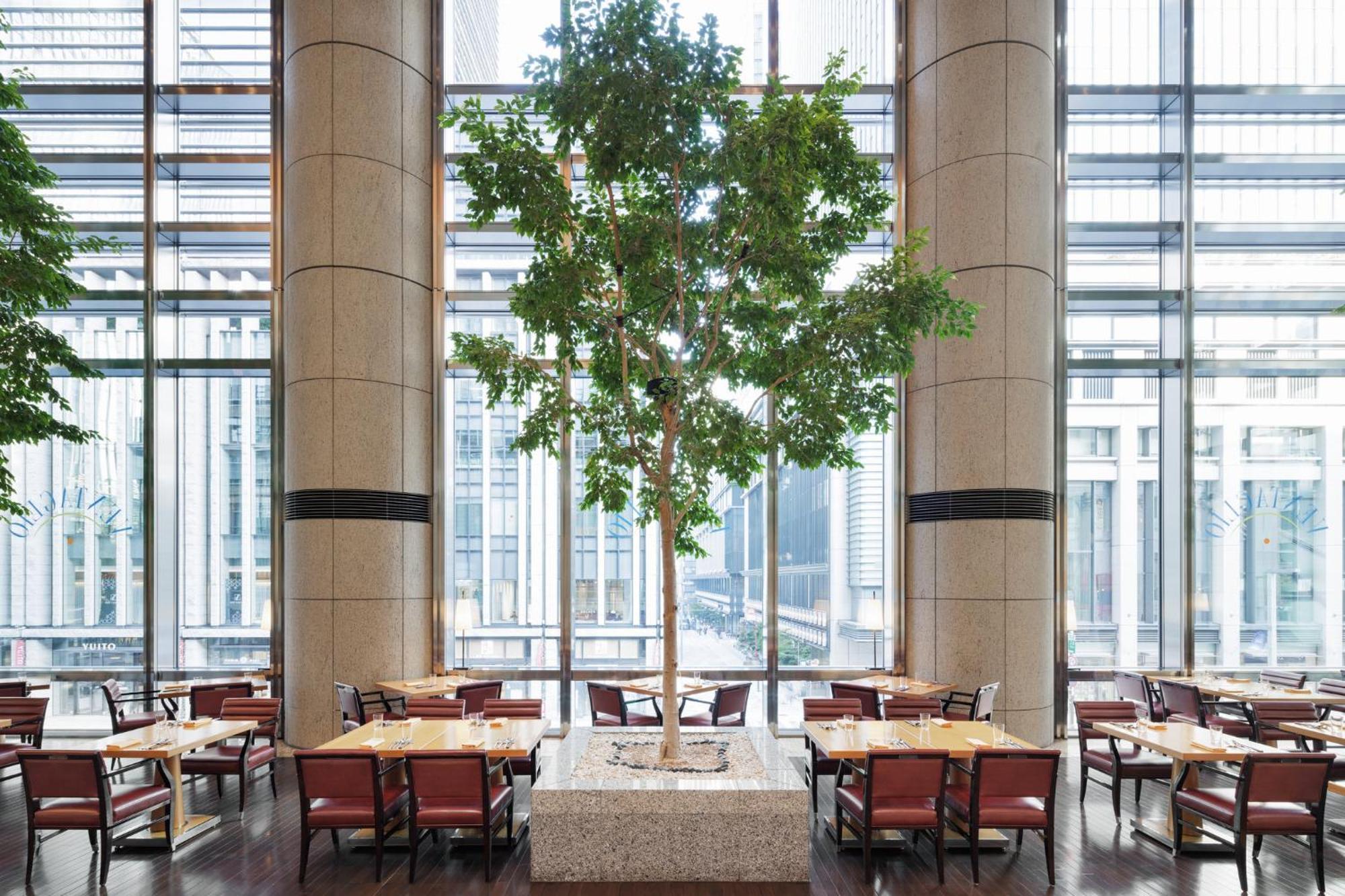 Mandarin Oriental, 5* 东京